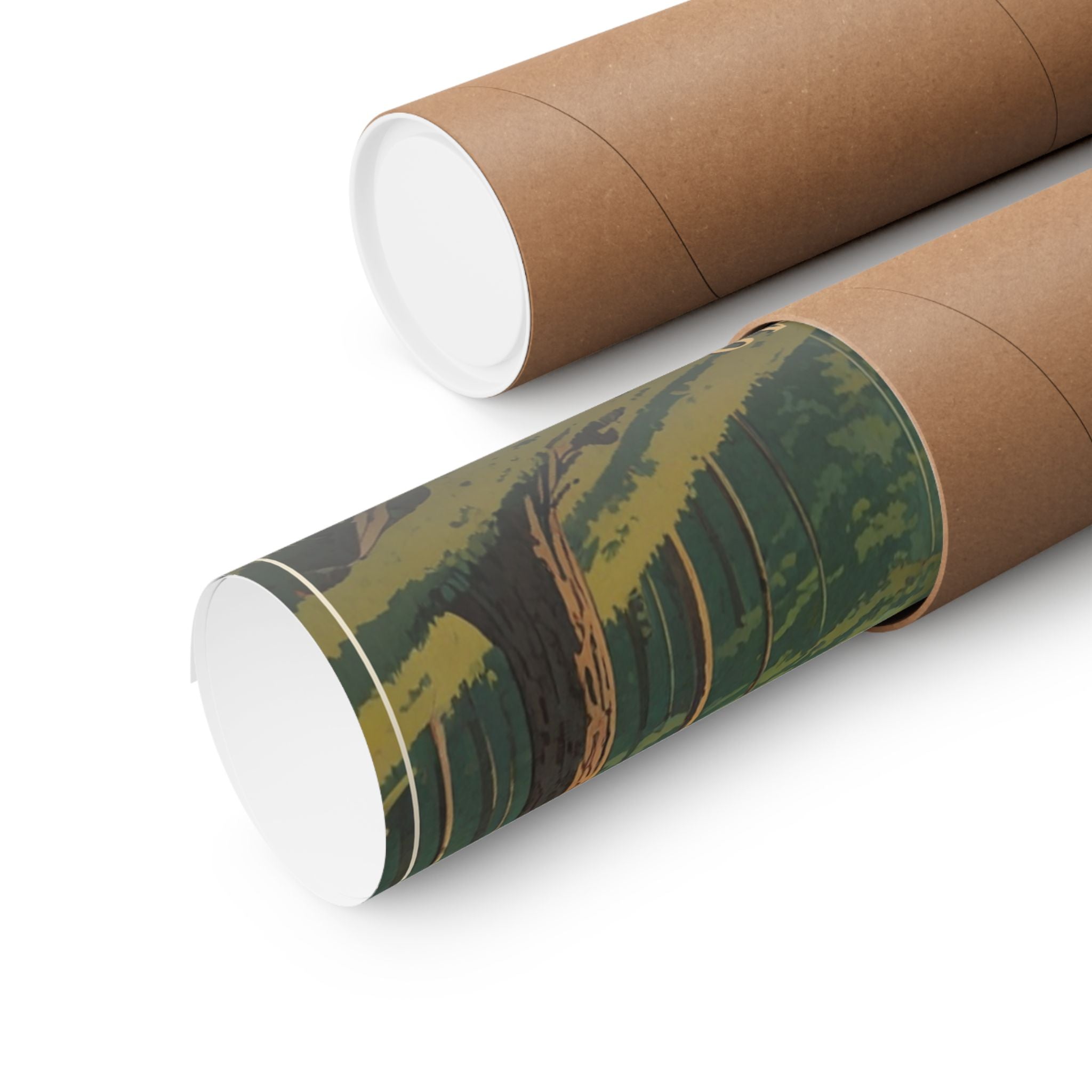 Where the Elk Outnumber the People - The Ozarks Poster | Corner & County