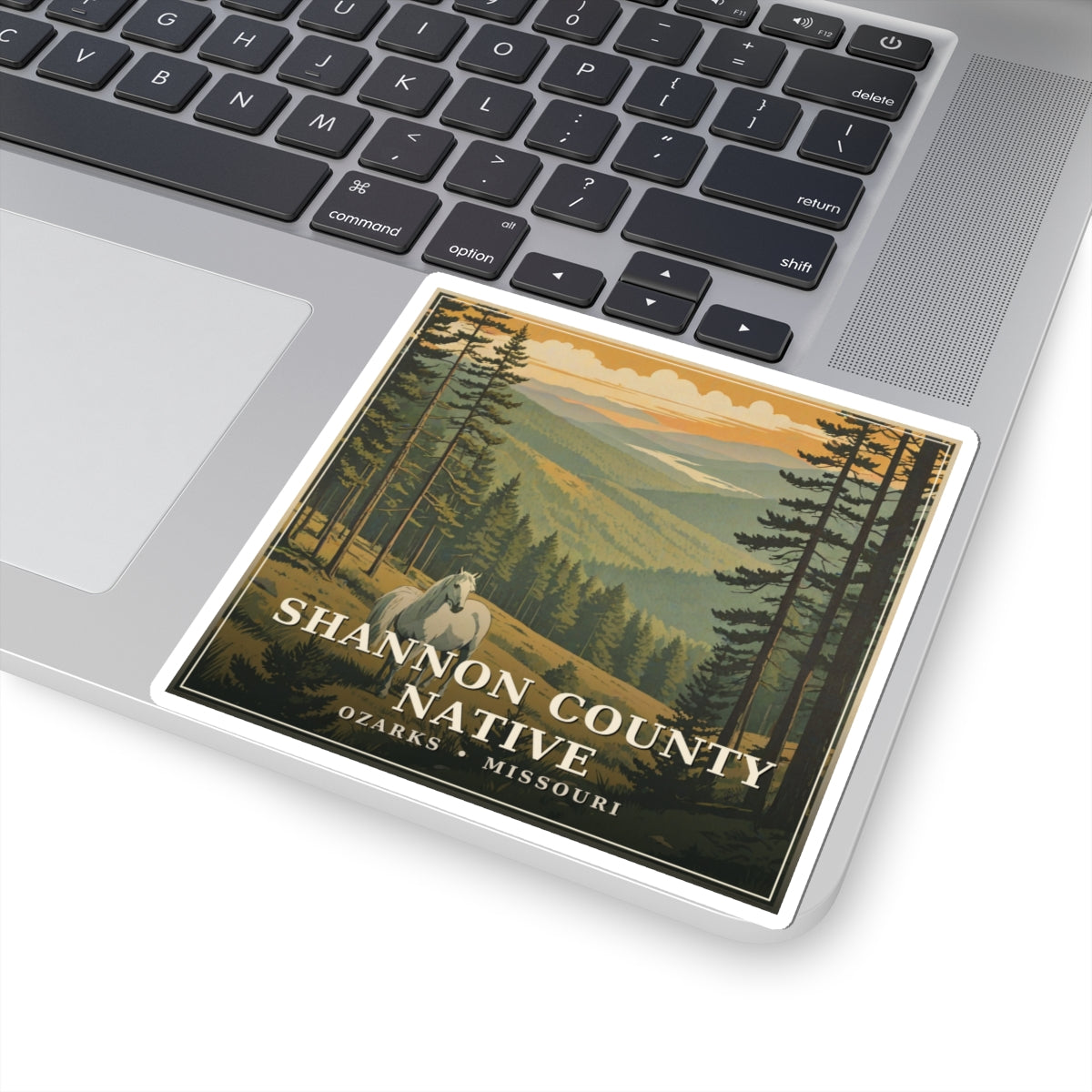 Shannon County Native - The Ozarks Sticker | Corner & County